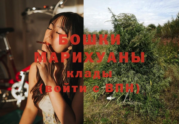 СК Абинск