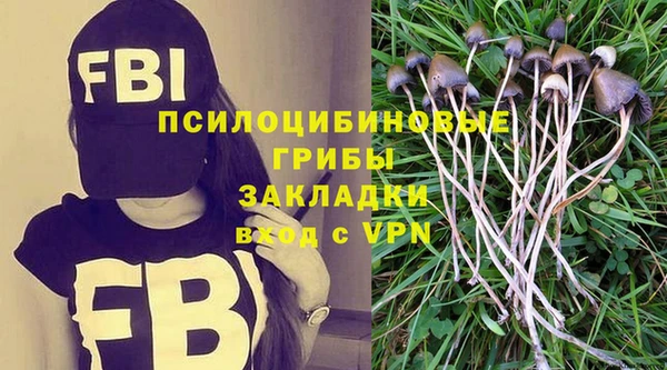 СК Абинск