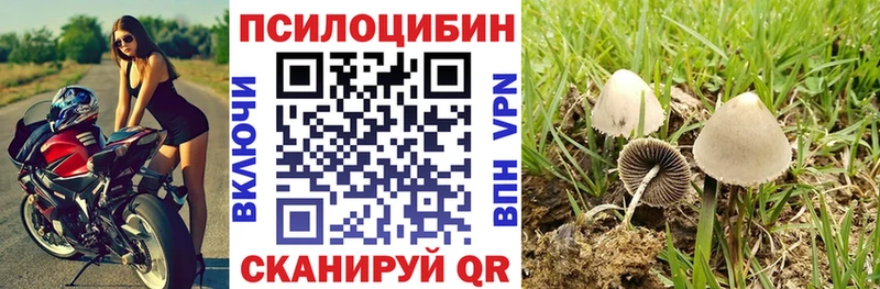 что такое   Лосино-Петровский  Галлюциногенные грибы прущие грибы 